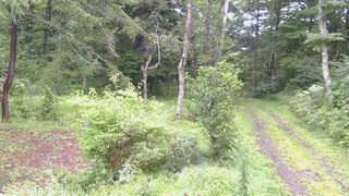 長野県菅平高原 ゆたか山荘 坂上 2026/08/30 07:45