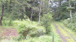長野県菅平高原 ゆたか山荘 坂上 2026/08/30 08:00