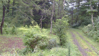 長野県菅平高原 ゆたか山荘 坂上 2026/08/30 08:15