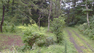 長野県菅平高原 ゆたか山荘 坂上 2026/08/30 08:30