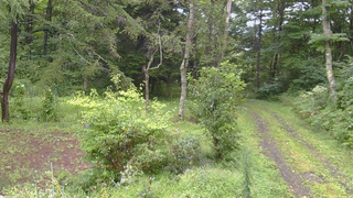 長野県菅平高原 ゆたか山荘 坂上 2026/08/30 09:00