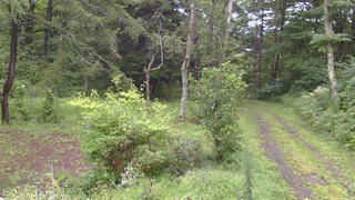 長野県菅平高原 ゆたか山荘 坂上 2026/08/30 09:15