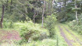 長野県菅平高原 ゆたか山荘 坂上 2026/08/30 09:30