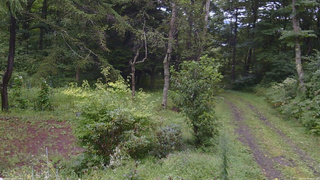 長野県菅平高原 ゆたか山荘 坂上 2026/08/30 09:45