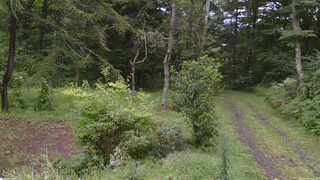 長野県菅平高原 ゆたか山荘 坂上 2026/08/30 10:00