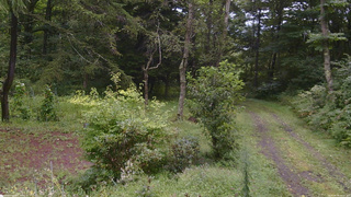 長野県菅平高原 ゆたか山荘 坂上 2026/08/30 10:15
