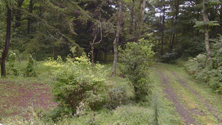 長野県菅平高原 ゆたか山荘 坂上 2026/08/30 10:45