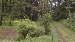 長野県菅平高原 ゆたか山荘 坂上 2026/08/30 11:00