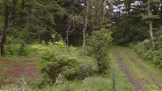 長野県菅平高原 ゆたか山荘 坂上 2026/08/30 11:15