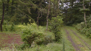 長野県菅平高原 ゆたか山荘 坂上 2026/08/30 11:30