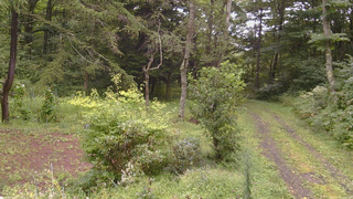 長野県菅平高原 ゆたか山荘 坂上 2026/08/30 12:00