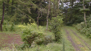 長野県菅平高原 ゆたか山荘 坂上 2026/08/30 12:15