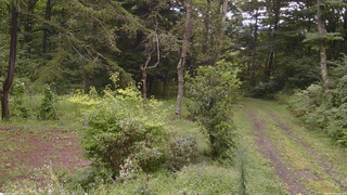 長野県菅平高原 ゆたか山荘 坂上 2026/08/30 12:30
