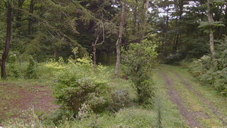 長野県菅平高原 ゆたか山荘 坂上 2026/08/30 12:45