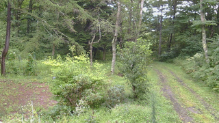 長野県菅平高原 ゆたか山荘 坂上 2026/08/30 13:00