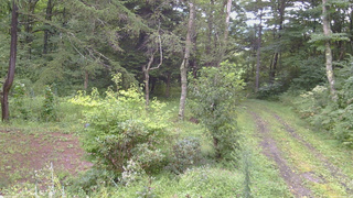 長野県菅平高原 ゆたか山荘 坂上 2026/08/30 13:15