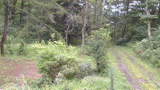 長野県菅平高原 ゆたか山荘 坂上 2026/08/30 13:30