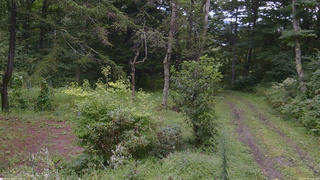 長野県菅平高原 ゆたか山荘 坂上 2026/08/30 13:45