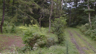 長野県菅平高原 ゆたか山荘 坂上 2026/08/30 14:00
