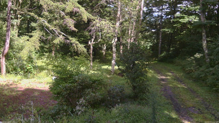 長野県菅平高原 ゆたか山荘 坂上 2026/08/30 14:15