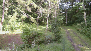 長野県菅平高原 ゆたか山荘 坂上 2026/08/30 14:30