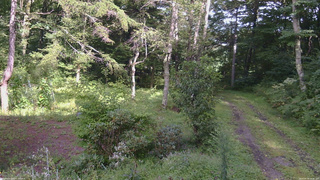 長野県菅平高原 ゆたか山荘 坂上 2026/08/30 14:45
