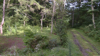 長野県菅平高原 ゆたか山荘 坂上 2026/08/30 15:00