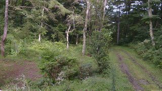 長野県菅平高原 ゆたか山荘 坂上 2026/08/30 15:15