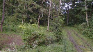 長野県菅平高原 ゆたか山荘 坂上 2026/08/30 15:30