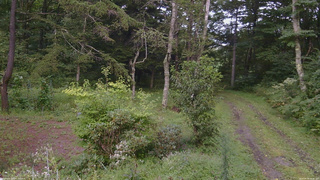 長野県菅平高原 ゆたか山荘 坂上 2026/08/30 15:45