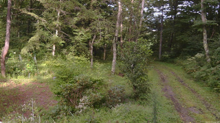 長野県菅平高原 ゆたか山荘 坂上 2026/08/30 16:00