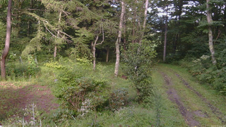長野県菅平高原 ゆたか山荘 坂上 2026/08/30 16:15
