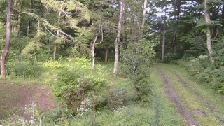 長野県菅平高原 ゆたか山荘 坂上 2026/08/30 16:30