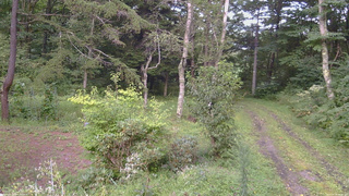 長野県菅平高原 ゆたか山荘 坂上 2026/08/30 16:45