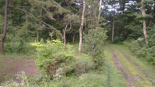 長野県菅平高原 ゆたか山荘 坂上 2026/08/30 17:00