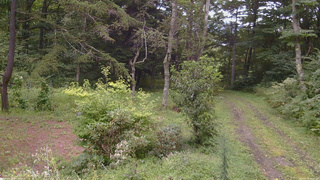 長野県菅平高原 ゆたか山荘 坂上 2026/08/30 17:15
