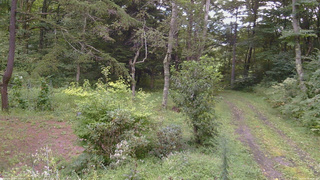 長野県菅平高原 ゆたか山荘 坂上 2026/08/30 17:30