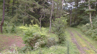 長野県菅平高原 ゆたか山荘 坂上 2026/08/30 17:45
