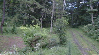 長野県菅平高原 ゆたか山荘 坂上 2026/08/30 18:15