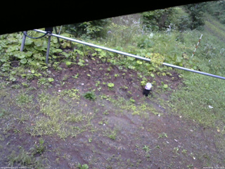 長野県菅平高原 ゆたか山荘 駐車場 2026/08/31 16:45
