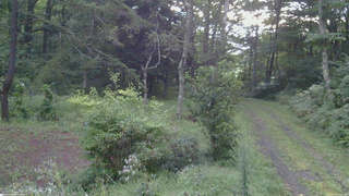 長野県菅平高原 ゆたか山荘 坂上 2026/08/31 05:15
