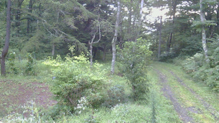 長野県菅平高原 ゆたか山荘 坂上 2026/08/31 05:30