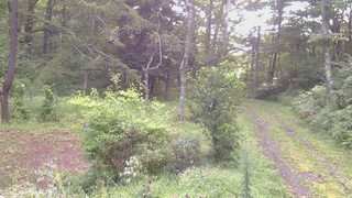 長野県菅平高原 ゆたか山荘 坂上 2026/08/31 05:45