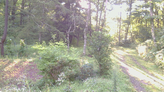 長野県菅平高原 ゆたか山荘 坂上 2026/08/31 06:00