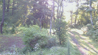 長野県菅平高原 ゆたか山荘 坂上 2026/08/31 06:15