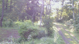 長野県菅平高原 ゆたか山荘 坂上 2026/08/31 06:30