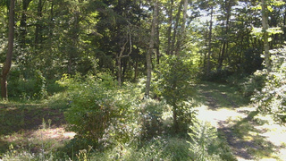 長野県菅平高原 ゆたか山荘 坂上 2026/08/31 08:45