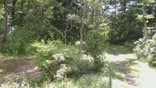 長野県菅平高原 ゆたか山荘 坂上 2026/08/31 09:15