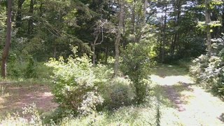 長野県菅平高原 ゆたか山荘 坂上 2026/08/31 09:30