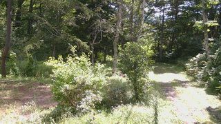 長野県菅平高原 ゆたか山荘 坂上 2026/08/31 09:45